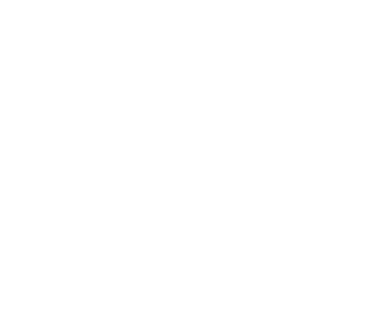 Flight 300 Academy